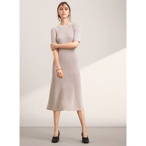 NWT Aritzia Wilfred Brotteaux Dress